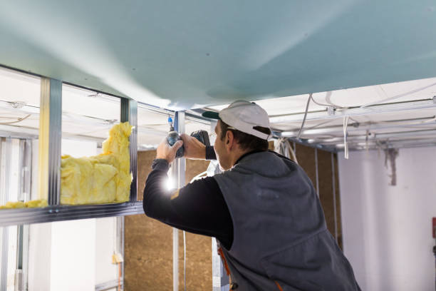 Best Fiberglass Insulation in Belmont, MS