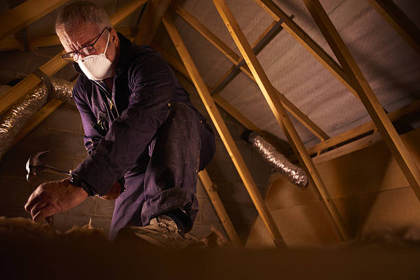 Best Eco-Friendly Insulation in Belmont, MS